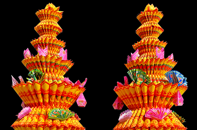 巨無霸蓮花1