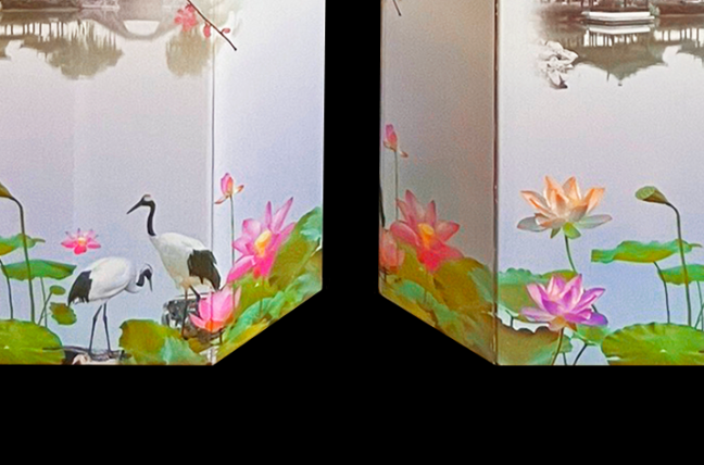水月5