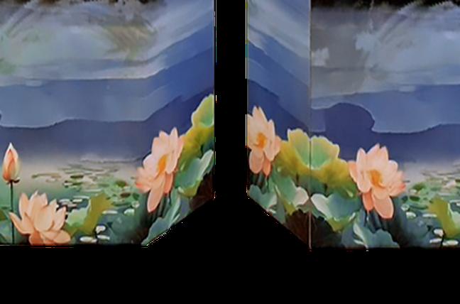 鏡花水月5